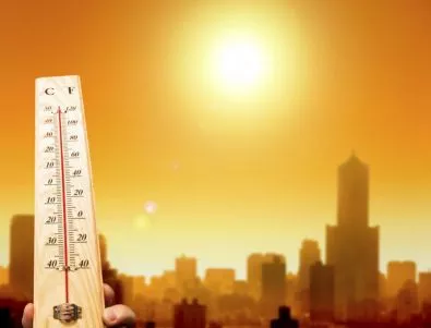 Близо 90 са жертвите на жегите в Египет, над 1000 са в болници