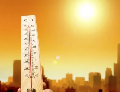 Над 200 души са загинали от горещините в Индия