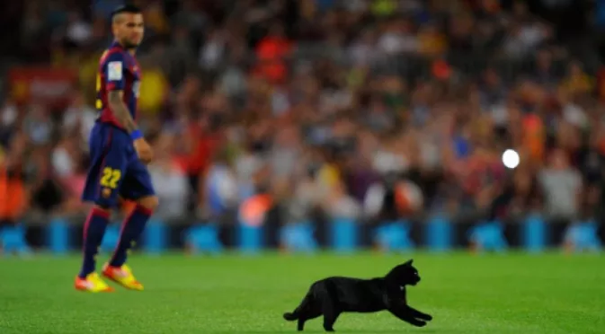 И черна котка не спря Барселона срещу Елче