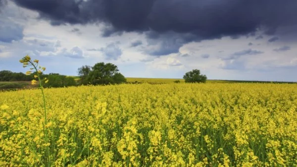 Температурите чувствително се понижават в петък 