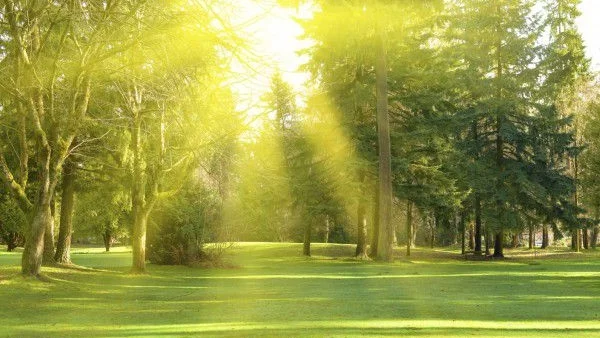 Очаква ни слънчев и топъл Разпети петък