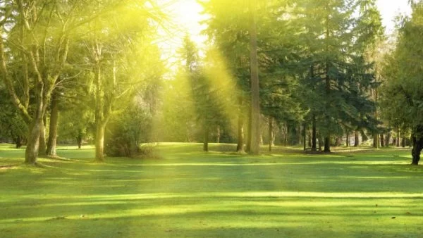 Хубавото време ще ни радва и на Велика събота