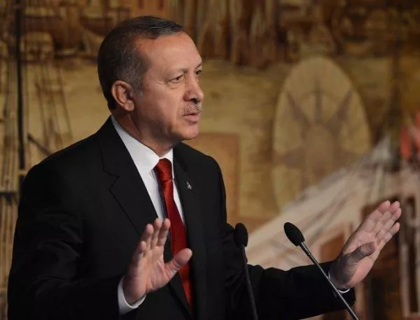 Ердоган поиска цялата власт да е в неговите ръце