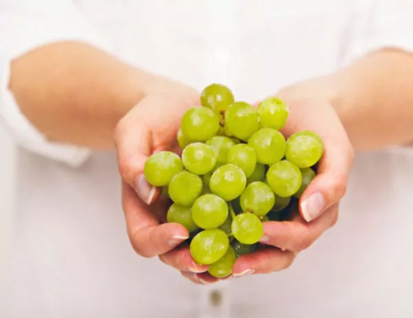 Институтът по земеделие в Кюстендил се занимава с изучаване на нови сортове грозде