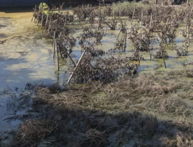 Язовирна дига не издържа, земеделски земи в Петричко са под вода
