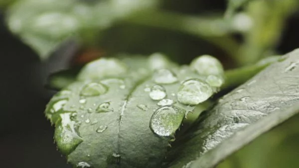 До края на месеца ще вали, но температурите се покачват