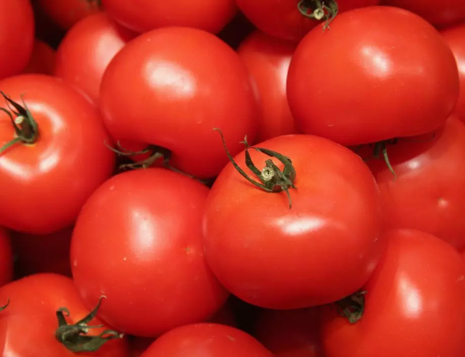Хитър и лесен начин за отглеждане на разсад от домати