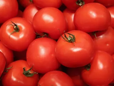 Вземете мерки навреме и предпазете доматите от болести