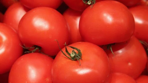 Само 14% от доматите са български, внасяме и от Албания