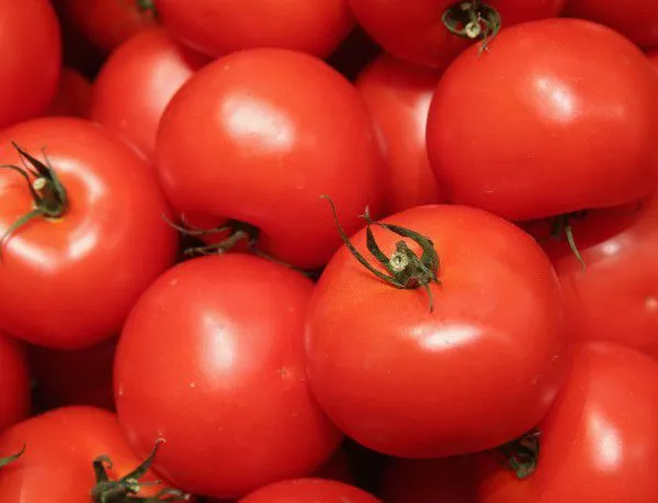 Родният домат ще бъде скъп и през май