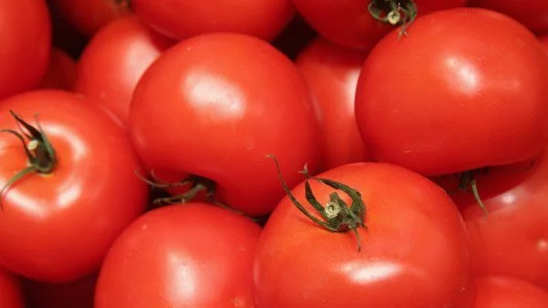 Родният домат ще бъде скъп и през май