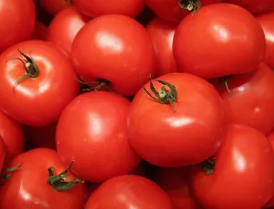 Цената на българските домати ще остане висока цяло лято 