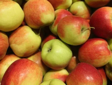 Статистиката в Шуменско - големи кражби на ябълки