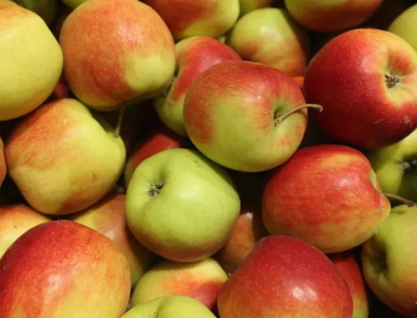 Ръст в цените на ябълките и гроздето