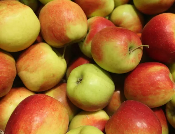 БАБХ спря внос на ябълки и зеленчуци от Македония и Гърция