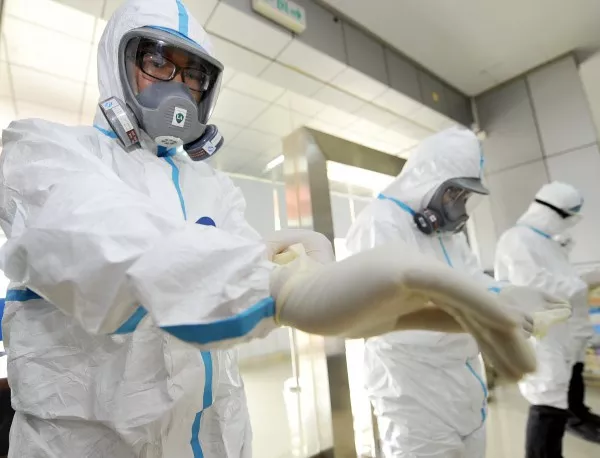 Учени получиха антитела за борба с ебола?