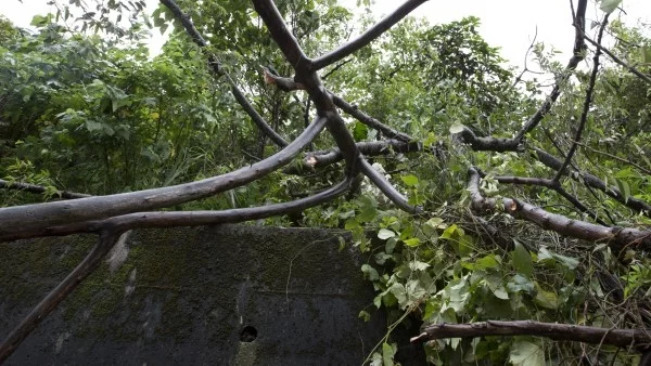 Десетки селища в областите Смолян и Пазарджик остават без ток