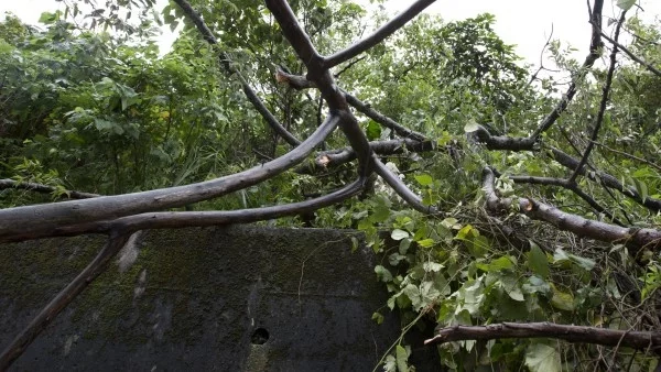 Две жертви на бури в Швейцария
