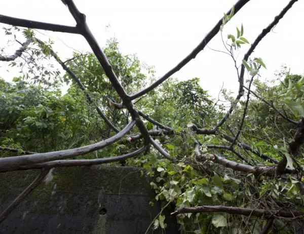Тайфунът "Трами" рани 17 души на японския остров Окинава