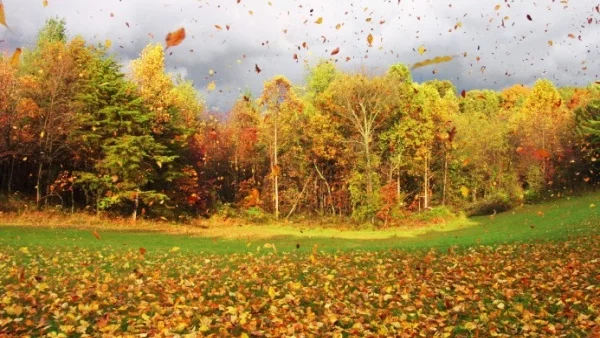 Прогноза за времето - 29 октомври (неделя)