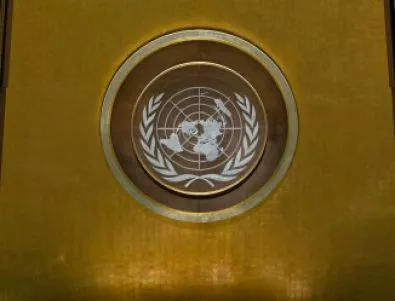 Дървеници евакуираха етаж от сградата на ООН 