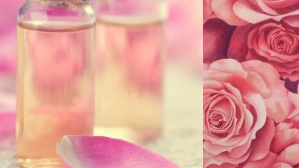 Японска компания търси българско розова масло и вода