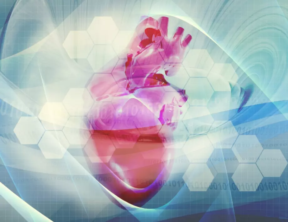 Лекар разкри какво ядат кардиолозите за здраво сърце