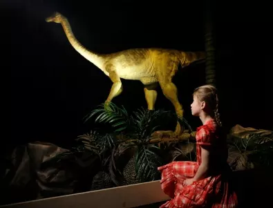 5 въпроса с отговори за динозаврите 