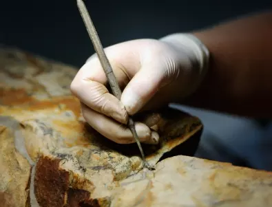 31 следи от месоядни тероподи намериха в Китай