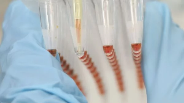 Французи тестват универсална противоракова ваксина