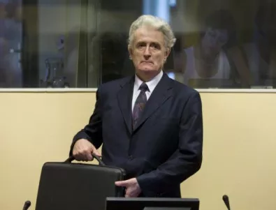 Военният престъпник Радован Караджич обжалва доживотната си присъда