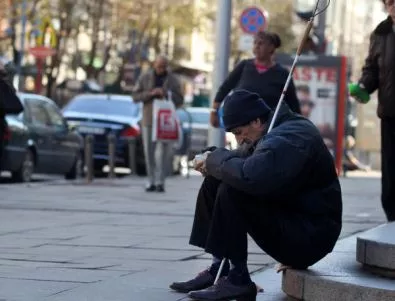 Приютът за бездомни в Русе е препълнен
