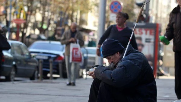 Приютът за бездомни в Русе е препълнен