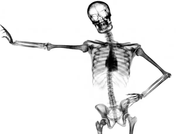 Деца учат анатомия по скелета на свой учител