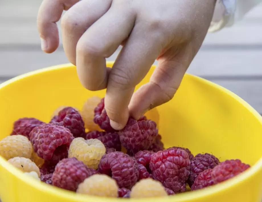 Ето как да ядете малините, за да не са ОПАСНИ за вашето здраве