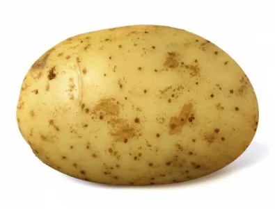 Картоф покълна, след като бе използван за контрацептив 