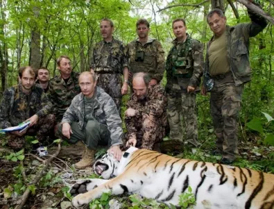 Тигърът на Путин избяга в Китай