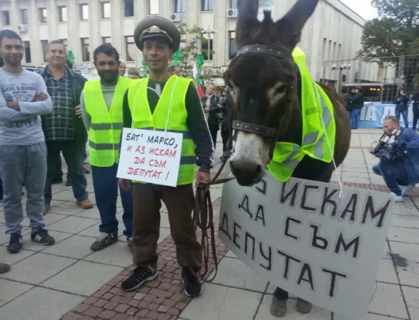 Протестиращи дупничани изпълниха площада, поискаха магаре за депутат