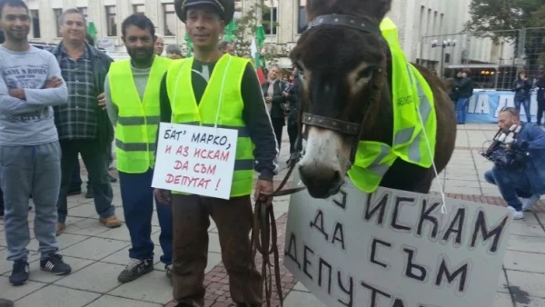 Протестиращи дупничани изпълниха площада, поискаха магаре за депутат