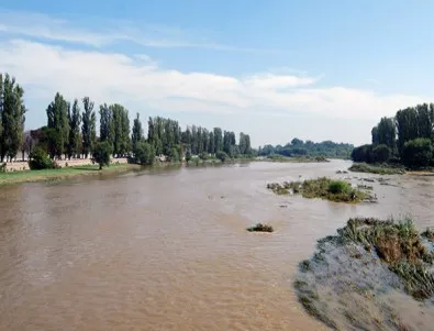 Свинекомплекс замърси реките Марица, Тополница и Елшишка 