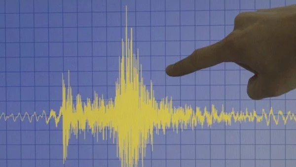 6,4 разлюля Нова Зеландия