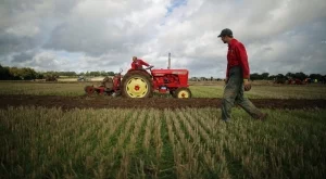 Брюксел ни обеща 7,5 млрд.евро за земеделие 