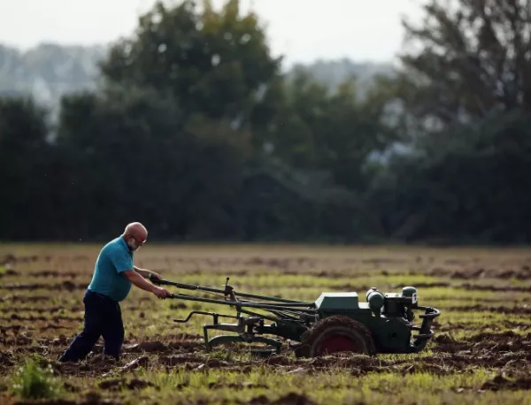 21 членки, включително България, поискаха ЕК да подкрепи земеделците 
