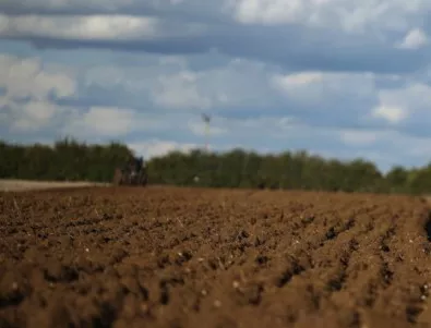 22 големи стопанства контролират 60% от земеделската земя в България