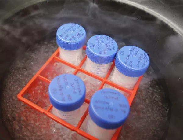 51 лаборатории са получили проби с живи бацили на антракс