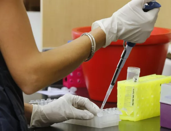Ваксините срещу ебола ще бъдат достъпни през 2015 г.