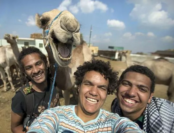 Селфи с ухилена камила стана хит в интернет