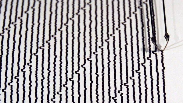 3,6 по Рихтер в Самоков