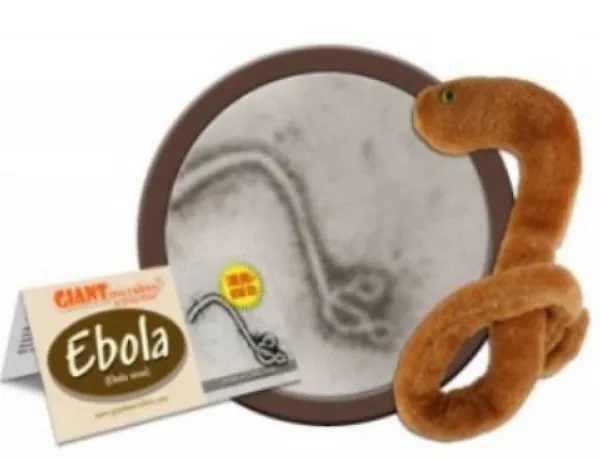 Ебола вече може да се закупи за 10 долара