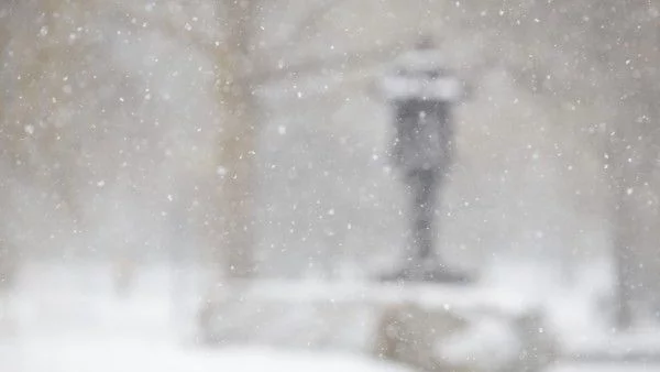 Снеговалеж остави 35 000 без ток в щата Масачузетс